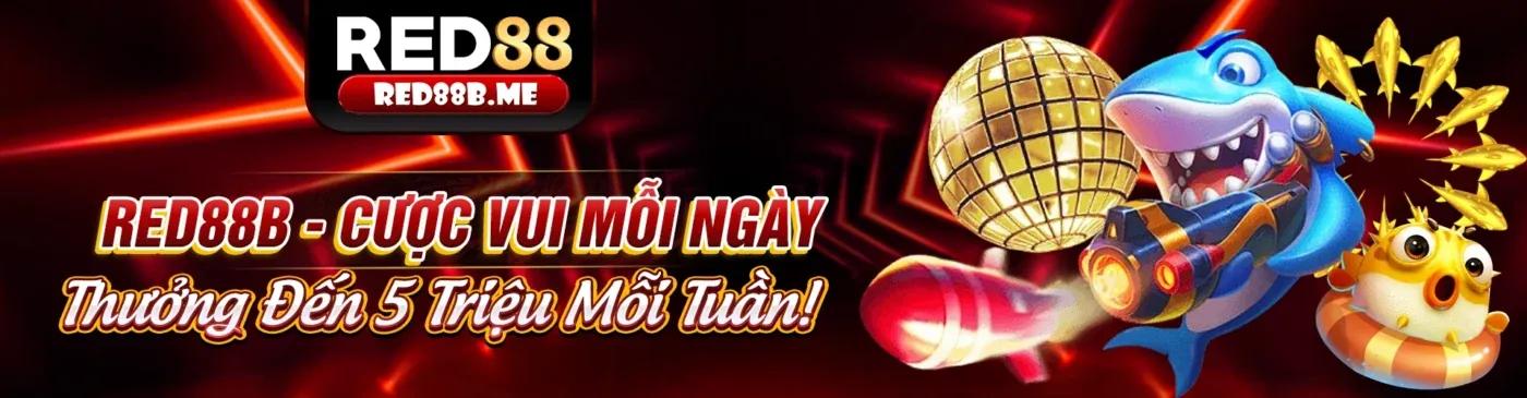 Chính sách quyền riêng tư của 8ki đăng nhập